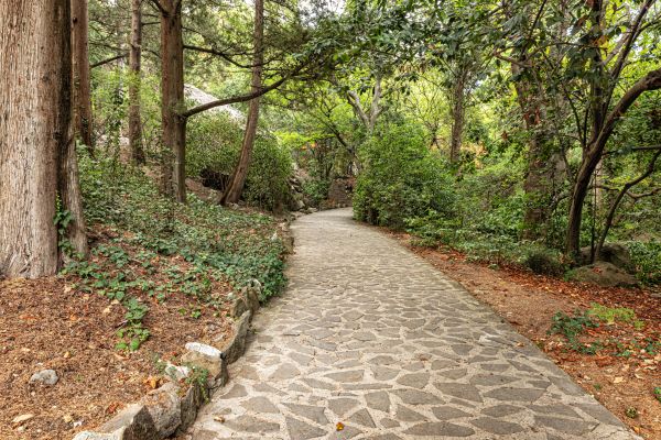 Stone Walkway Repair in Poughkeepsie